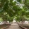 Gainesville Square